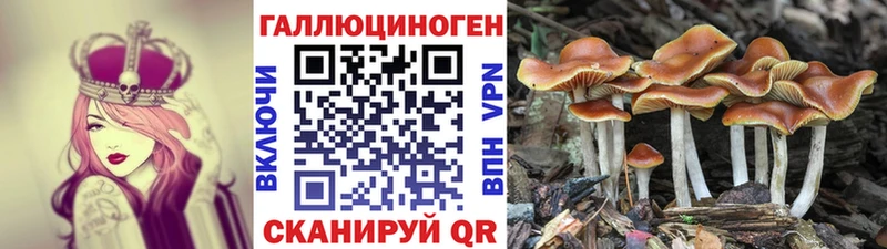 маркетплейс как зайти  Лахденпохья  Псилоцибиновые грибы MAGIC MUSHROOMS  блэк спрут вход 